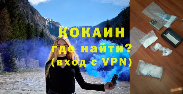 прущие грибы Козловка